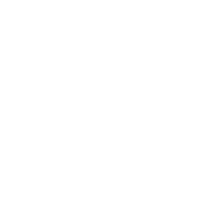 Whats App Business Icon